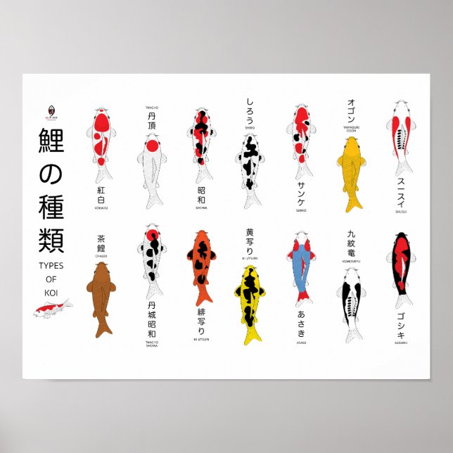 Póster Poster de carpa antigua, pintado a mano (Frente)