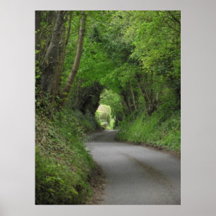 Póster Poster de carril de país