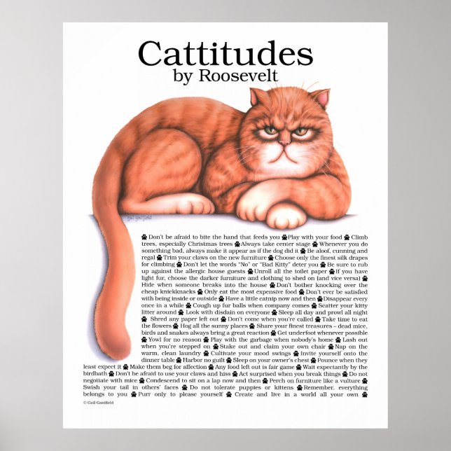 Póster Poster de Cattitudes (Frente)