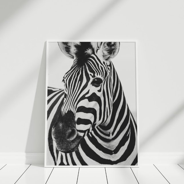 Póster Poster de cebra (Black and White Zebra Poster in a white frame.)