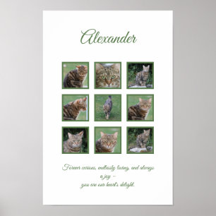 Póster Poster de celebración de Mascota de personalizable