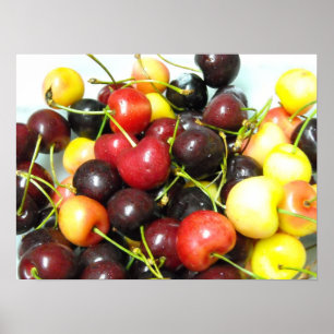 Póster Poster de cerezas