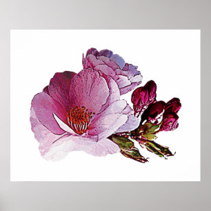 Póster Poster de cerezos y flores