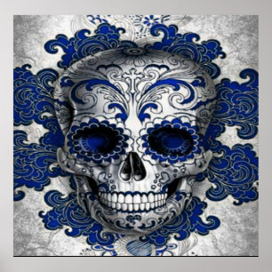 Póster Poster De Cernícalo De Azúcar En Azul