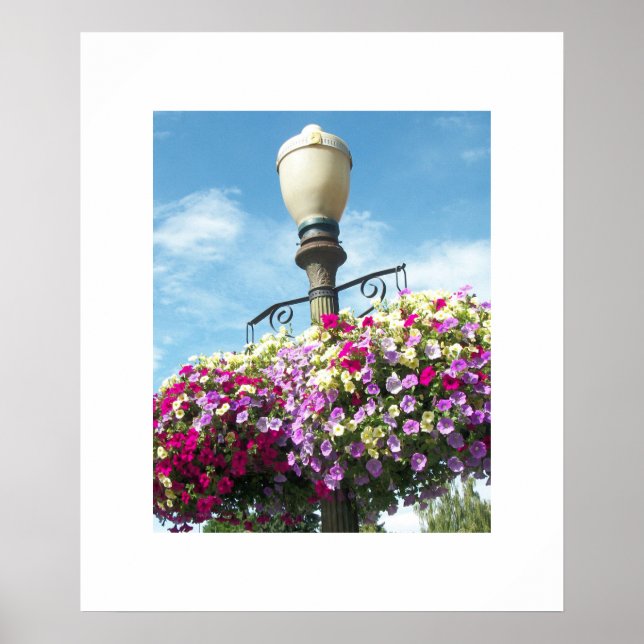 Póster Poster de cestas de flores (Frente)