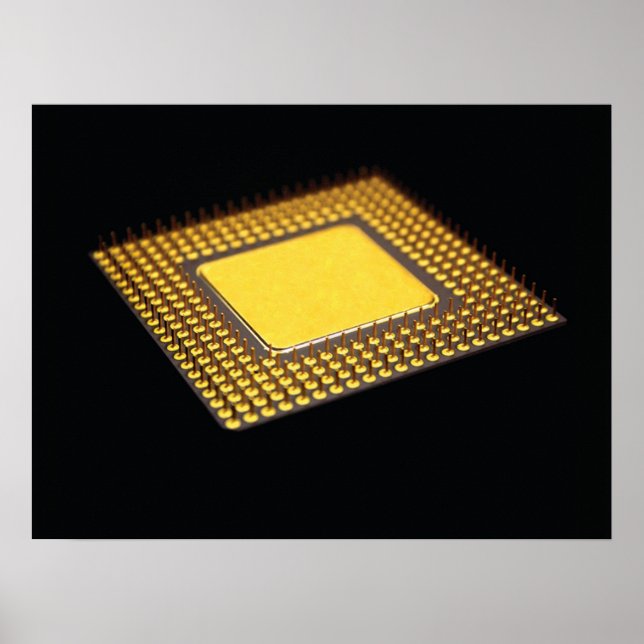 Póster Poster de Chip (Frente)