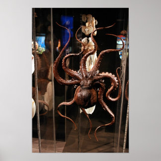 Póster Poster de Ciencias Naturales de Houston