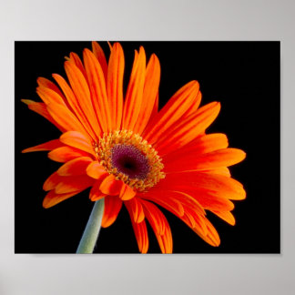 Póster Poster de cierre de flores
