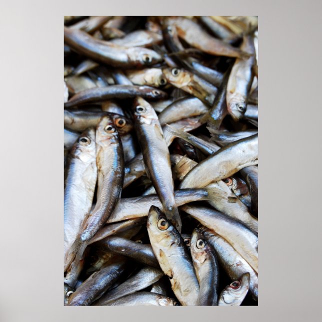 Póster Poster de cierre de peces (Frente)