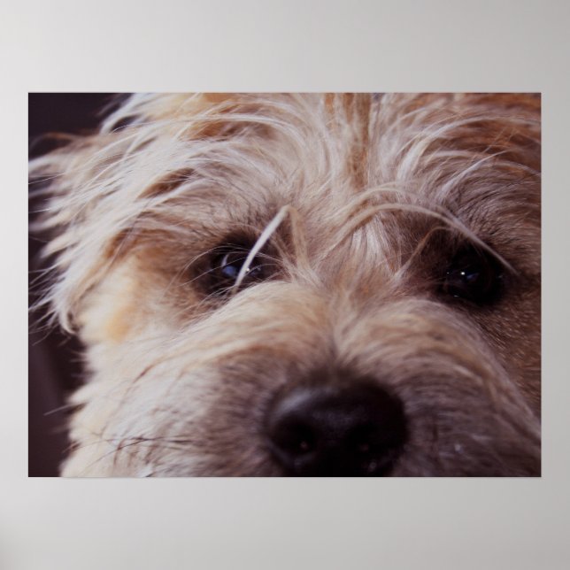 Póster Poster de cierre facial de pimienta (Frente)