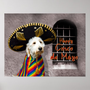 Póster Poster de Cinco de Mayo - perro en sombrero -