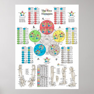 Póster Poster de cinco elementos de puntos de acupuntura