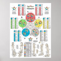 Poster de cinco elementos de puntos de acupuntura