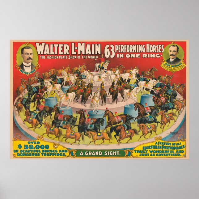 Póster Poster De Circo De 63 Caballos De Ejecución En Un  (Frente)