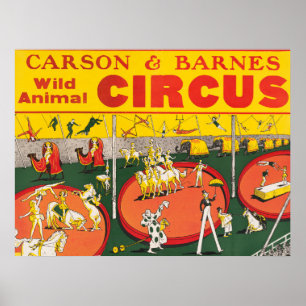 Póster Poster de circo de animales salvajes
