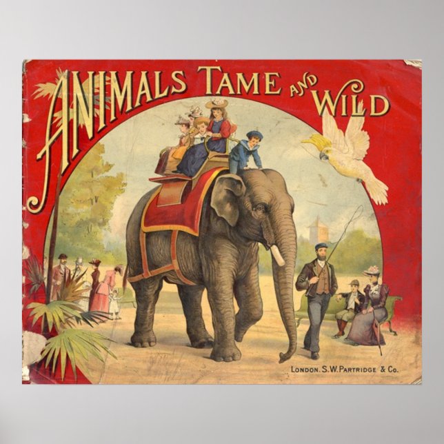 Póster Poster de circo de animales y animales salvajes (Frente)