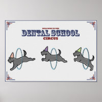 poster de "Circo dental"