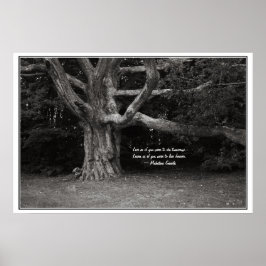Póster Poster de citas de Ghandi, monocromo de roble perl