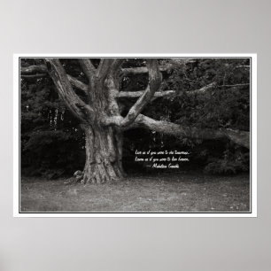 Póster Poster de citas de Ghandi, monocromo de roble perl