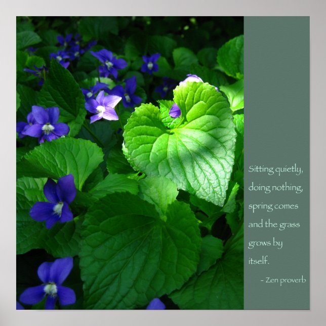 Póster Poster de citas de Zen Proverb (Frente)