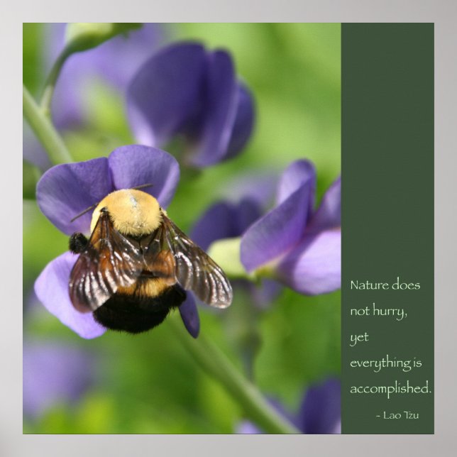 Póster Poster de citas en tozu lao (Frente)