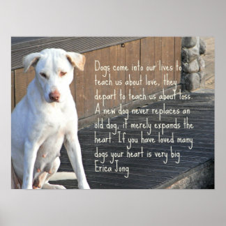Póster Poster de citas para perros - Erica Jong