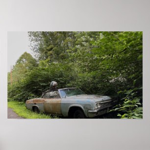Póster Poster de coches viejos abandonados