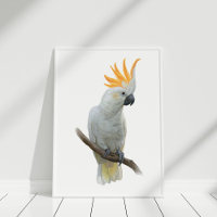 Poster de Cockatoo dibujado por la mano blanca