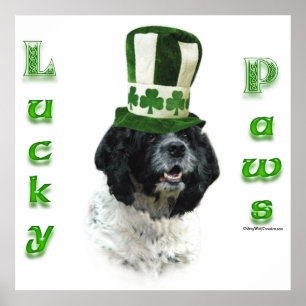 Póster Poster de Cocker Spaniel Lucky Paws