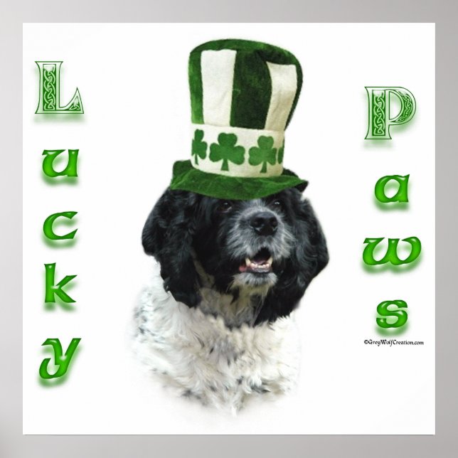 Póster Poster de Cocker Spaniel Lucky Paws (Frente)