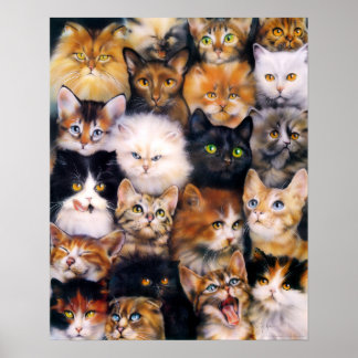 Póster Poster De Collage De Gatos