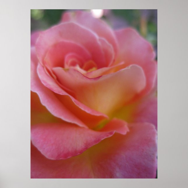 Póster Poster de color blanco (1) (Frente)