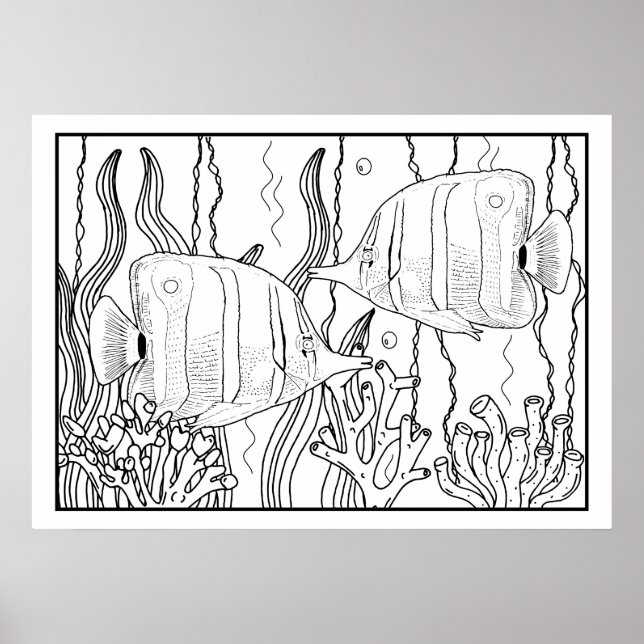 Póster Poster de coloración de peces para peces tropicale (Frente)