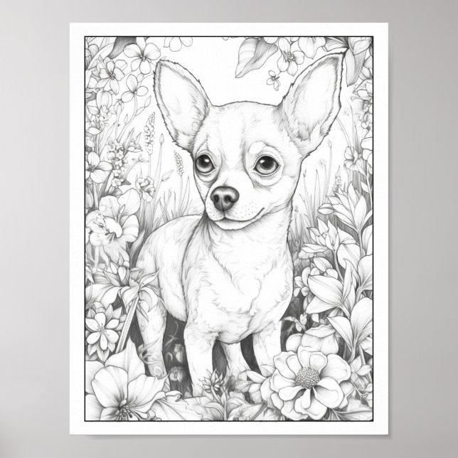 Póster Poster de coloración de perro de Chihuahua (Frente)