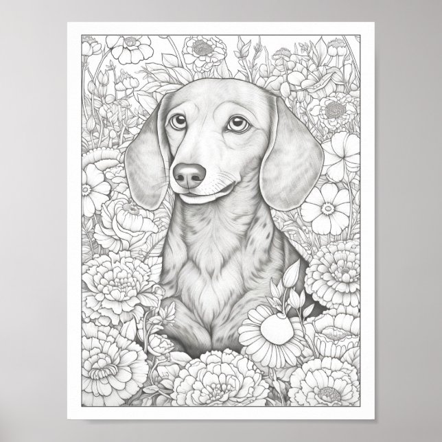 Póster Poster de coloración de perros de Dachshund (Frente)