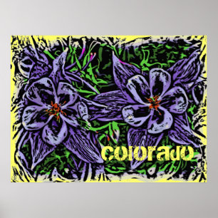 Póster Poster de Colorado Columbines