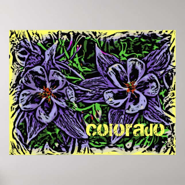 Póster Poster de Colorado Columbines (Frente)