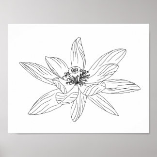 Póster Poster de colorantes para adultos de flores tropic