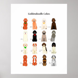Póster Poster de colores dordendoodle