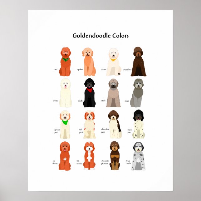 Póster Poster de colores dordendoodle (Frente)