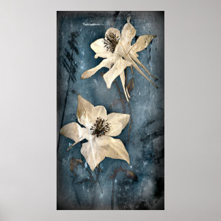 Póster Poster de Columbine