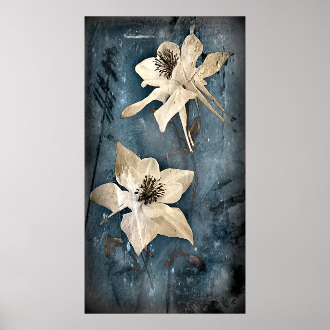 Póster Poster de Columbine (Frente)