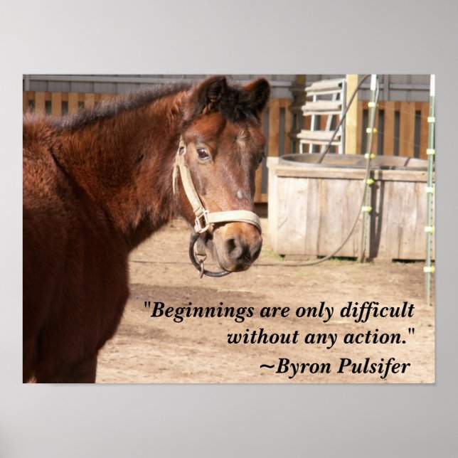 Póster Poster de comienzos (Frente)