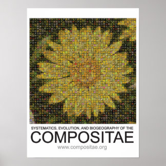 Póster Poster de composición