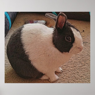 Póster Poster de conejito blanco y negro