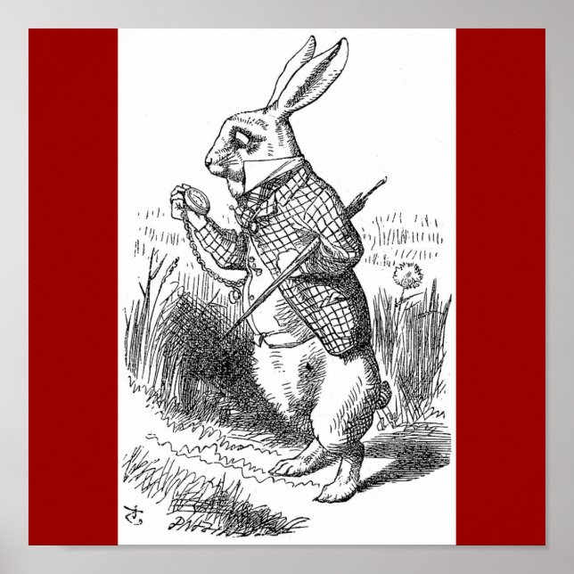 Póster Poster de conejo (Frente)