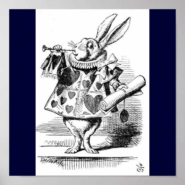 Póster Poster de conejo (Frente)