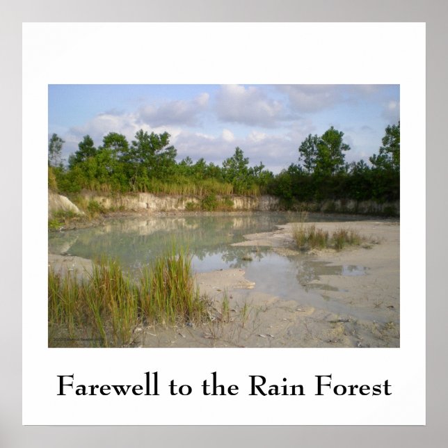 Póster Poster de Conservación de la Selva Tropical (Frente)