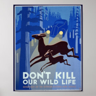 Póster Poster de Conservación de Vida Silvestre Vintage
