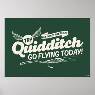 Póster POSTER de contratación de QUIDDITCH™